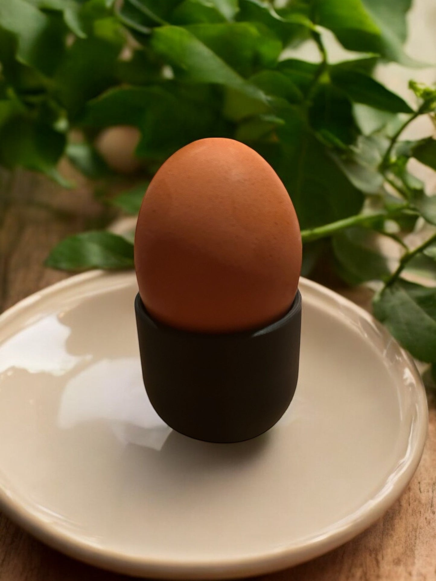 Set van 6 eierdoppen