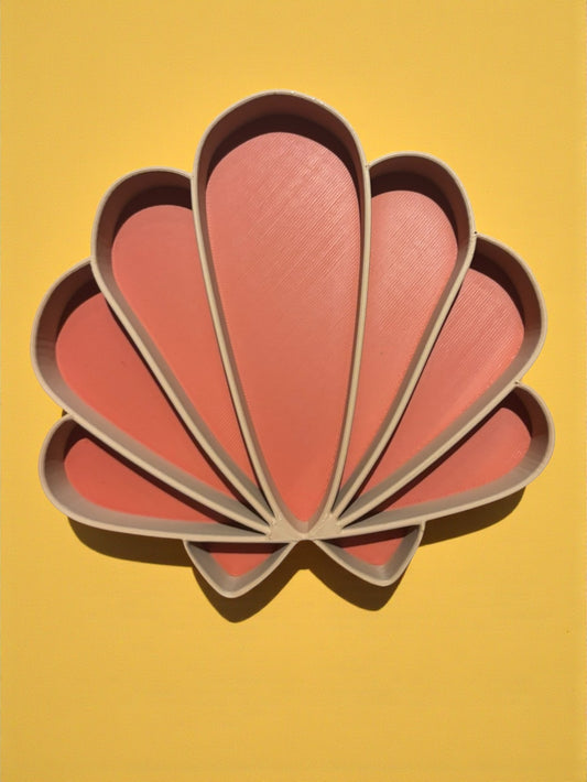 Schelp in twee kleuren